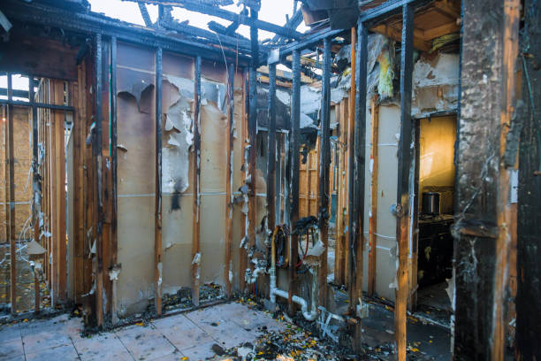 Professional Fire Damage Removal technician working in Leander, TX